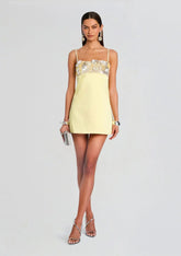 Lark Embroidered Dress
