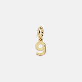 Gold Number Cluster Charm - 9